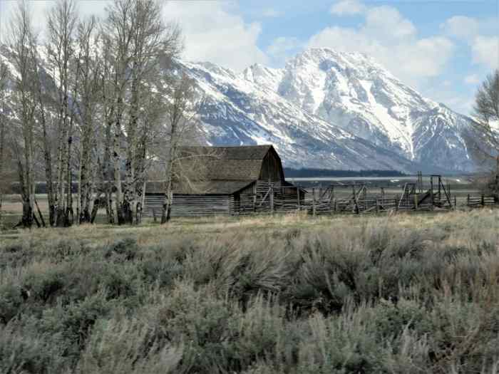 A Vacation to Jackson Hole, Wyoming WanderWisdom