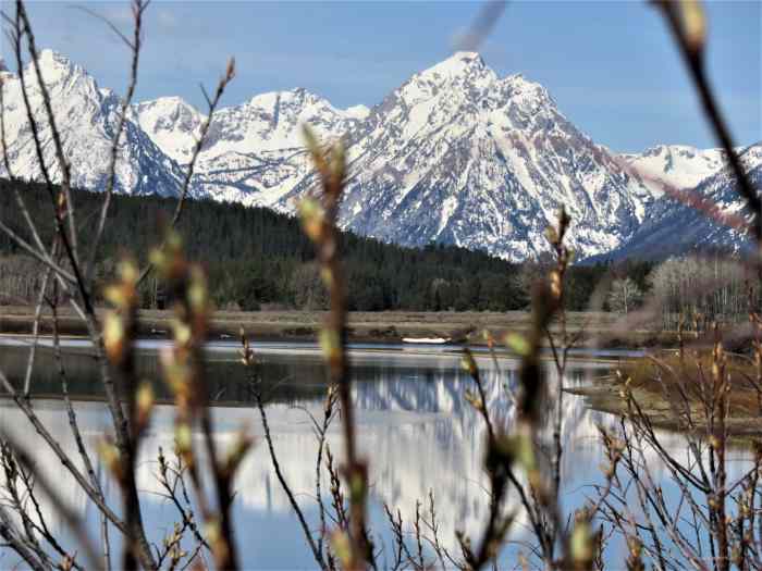 A Vacation to Jackson Hole, Wyoming WanderWisdom