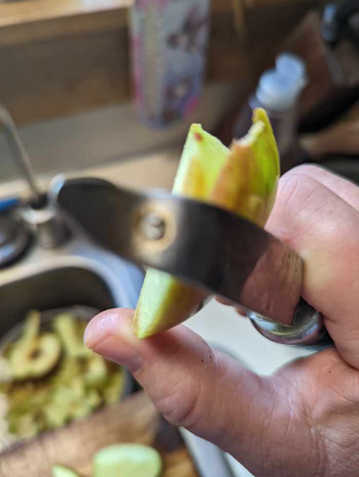 Apple Peeling Cutting Prepping HubPages