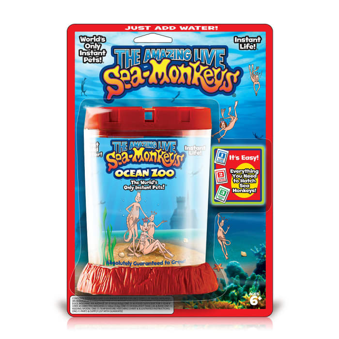 An ad similar to the one in the above photo was run in the late 1950s through the 1960s in comic books offering sea monkeys for sale.