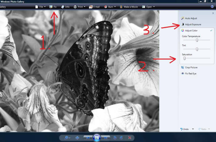 Edit using Windows Photo Gallery by doing these three steps. Click "Fix," go to "adjust color and lower the saturation, and then go to "adjust Exposure to raise the contrast and brightness.