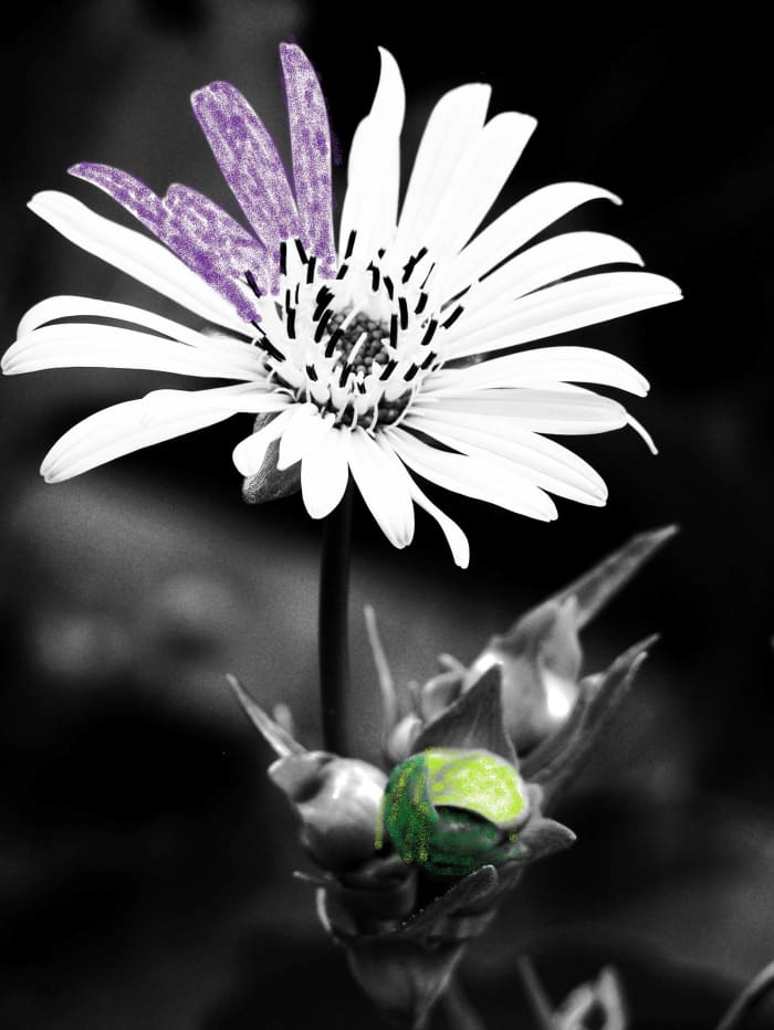 Here's an example of how cool the picture looks when you are coloring on a realistic coloring picture.