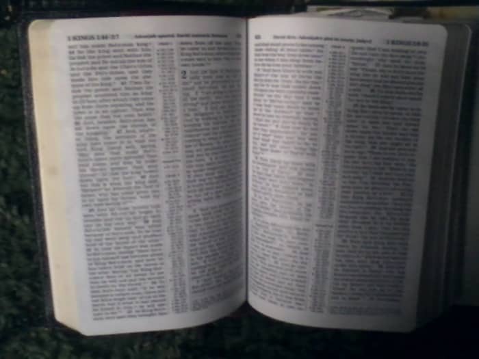 "The Word" is our Savior and King Jesus Christ. Who came here from the heavens to live and teach us what is best for us. He also died a horrible suffering death so that we would have an opportunity to live forever. In a paradise on earth.