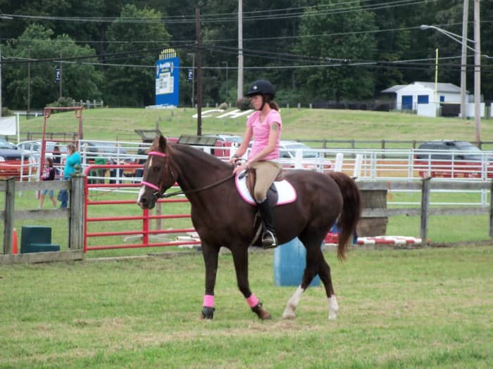 Dublin had been out of work for years when he became mine and I took him to my house and turned him into a lesson horse. You can teach an old "dog" or horse new tricks.