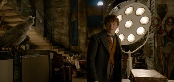 Redmayne feels more confident this time around as Scamander, even if he isn't the most important of characters in terms of the narrative.