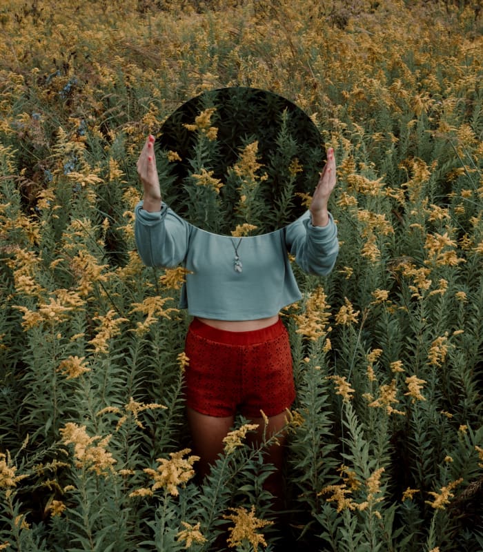 Since goldenrod is easily recognizable it is a good place for novice foragers to start.