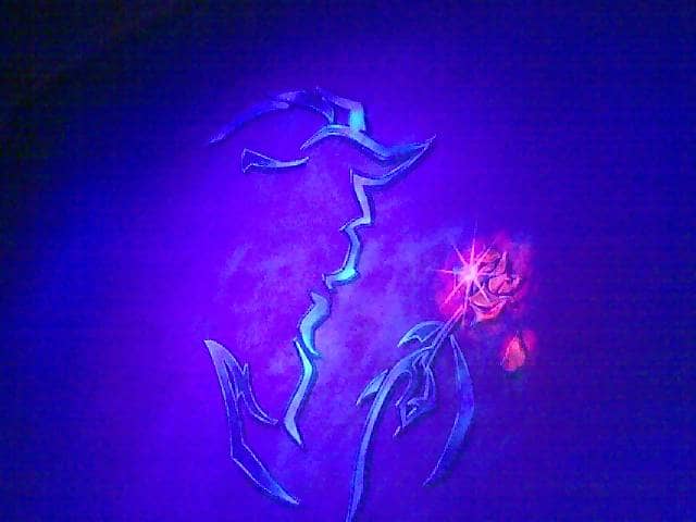 File: Beauty and the Beast.jpg Author: nieve44/La Luz 11 March 2007 CC-BY-2.0 Picture of the Beat with Rose