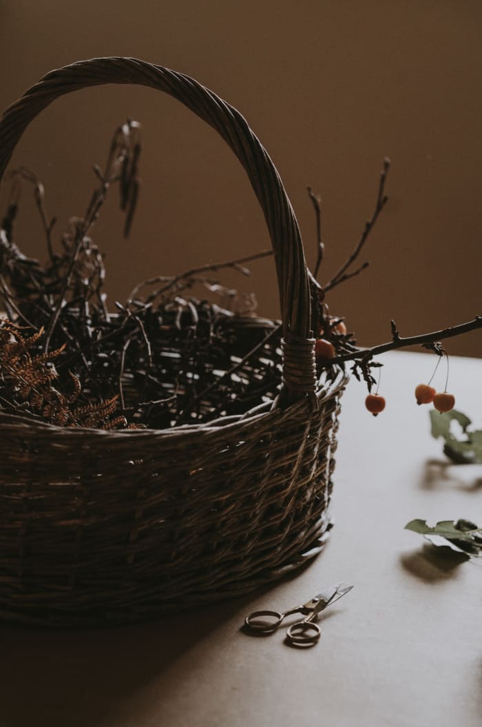 Wildcrafting or foraging herbs gets you out into nature and can help you save a lot of money.