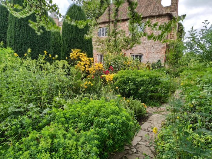 The best way to care for an herb garden is to harvest them frequently!
