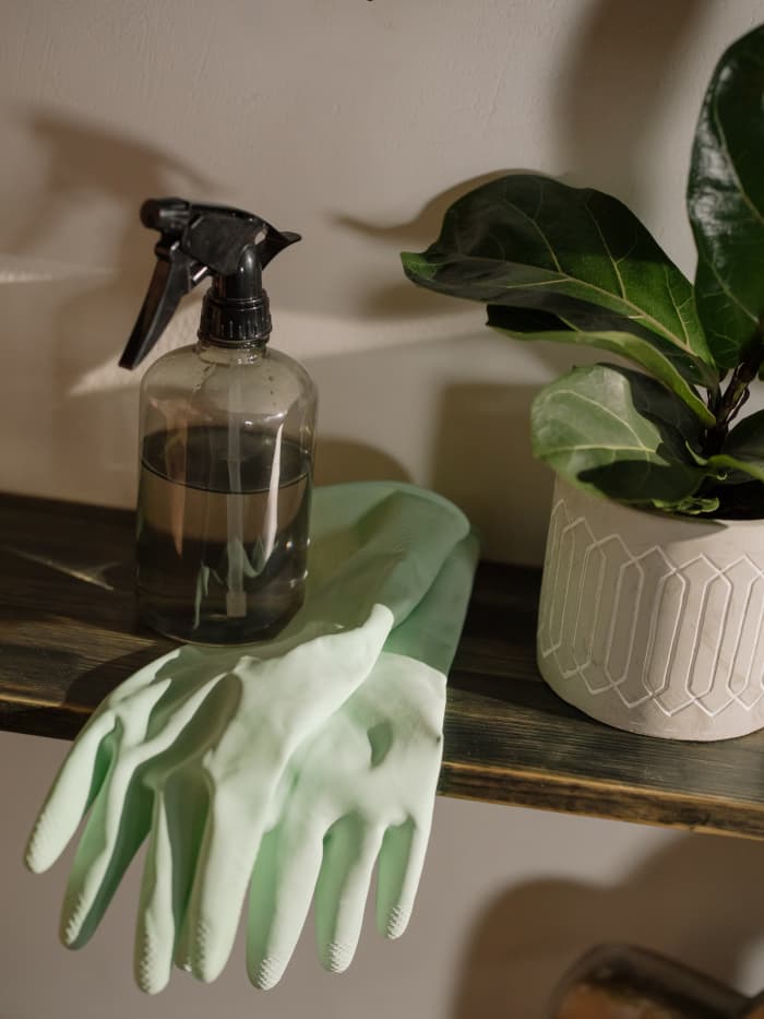 With more thought and intention, you can clean your whole household with animal-friendly items. There are dozens of cleaners that are vegan. Your home will be happier too with fewer synthetics, additives, and preservatives.