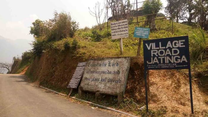 Jatinga came into the limelight in 1960 when a famed naturalist, EP Gee, and renowned ornithologist, the late Salim Ali, visited this village to study the veracity of the bizarre phenomenon of bird suicide.
