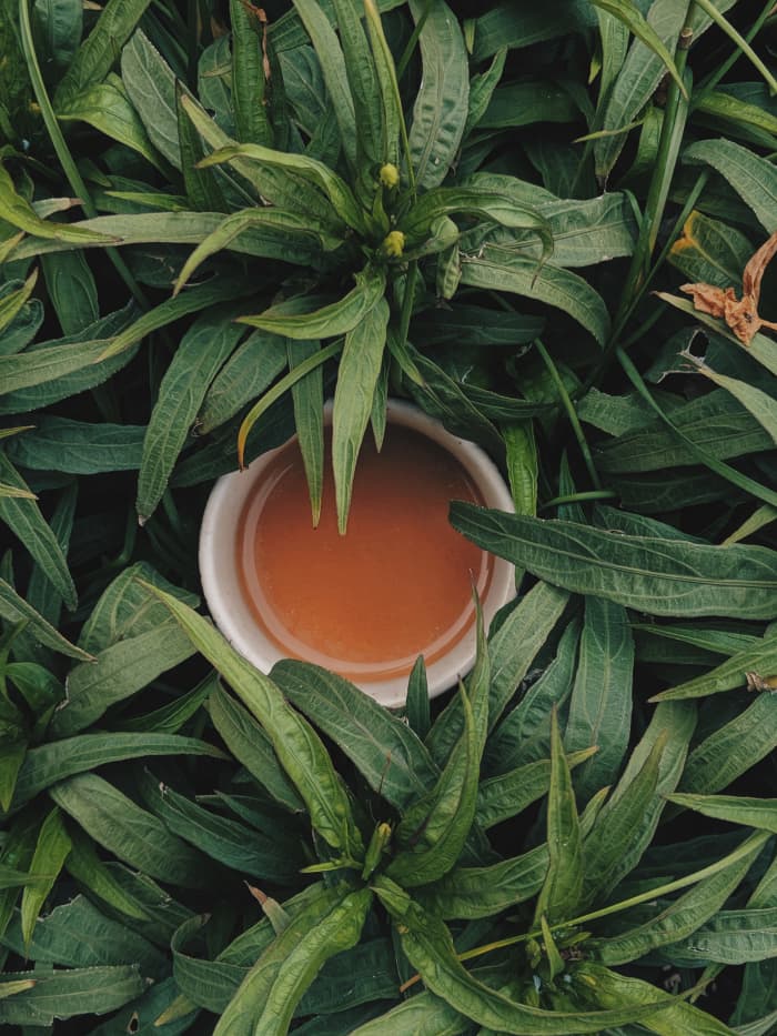 Tea comes from only one solitary plant. Herbal teas are really tisanes.