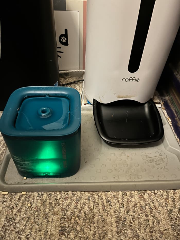 I purchased this inexpensive pet drinking fountain on Amazon to help increase my cat's water consumption after he was diagnosed with bladder stones.