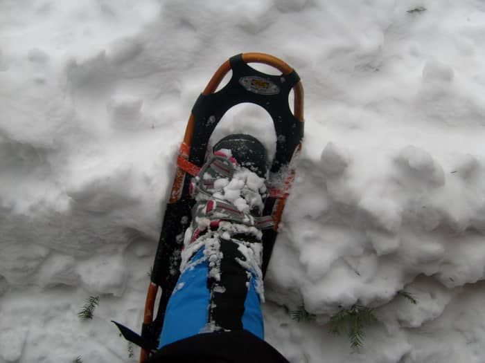 Snowshoes provide floatation and traction on snow and ice. Anyone living in the snowy regions of our country should keep a pair in their trunk.