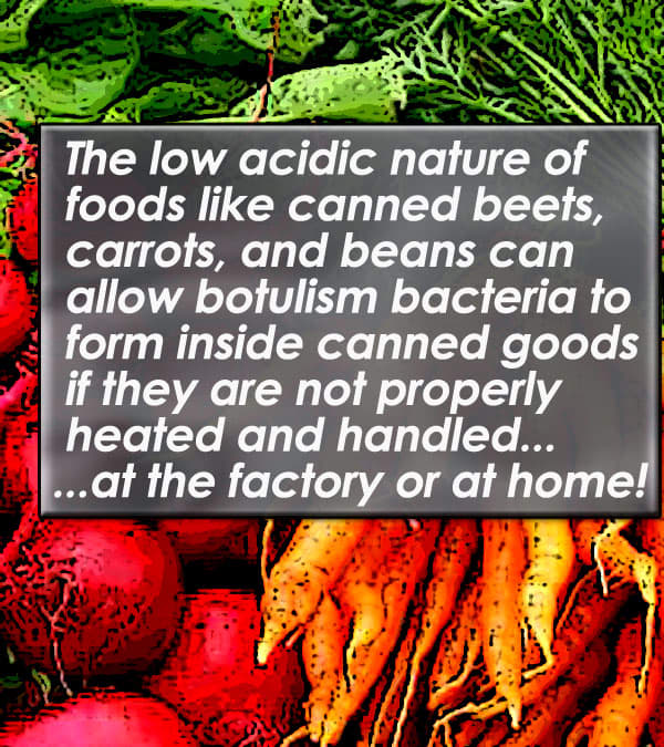 Low acidic vegetables and other foods make the perfect place for botulism spores to start growing if not prepared properly when canned at home or at a factory.