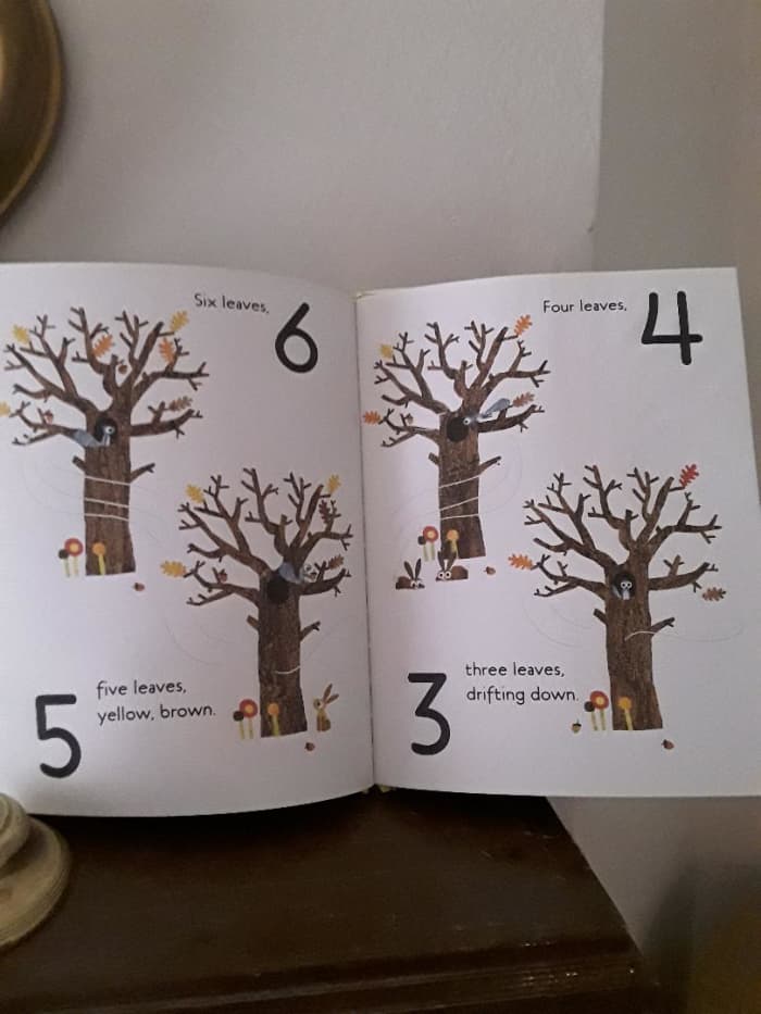 Skill of counting backwards from 10-1 when leaves fall during the beginning of winter