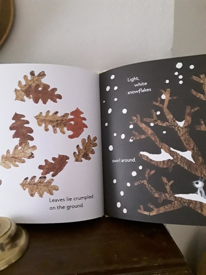Leaves turn brown in winter and fall from the trees when winter begins