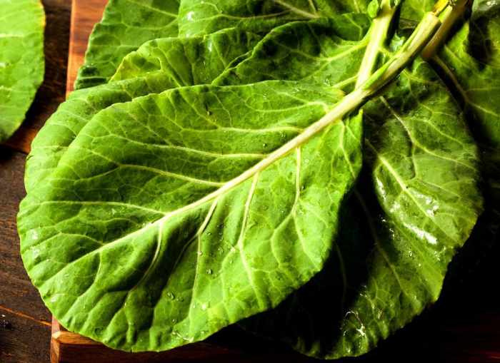Are Collard Greens Good When They Turn Yellow? Delishably