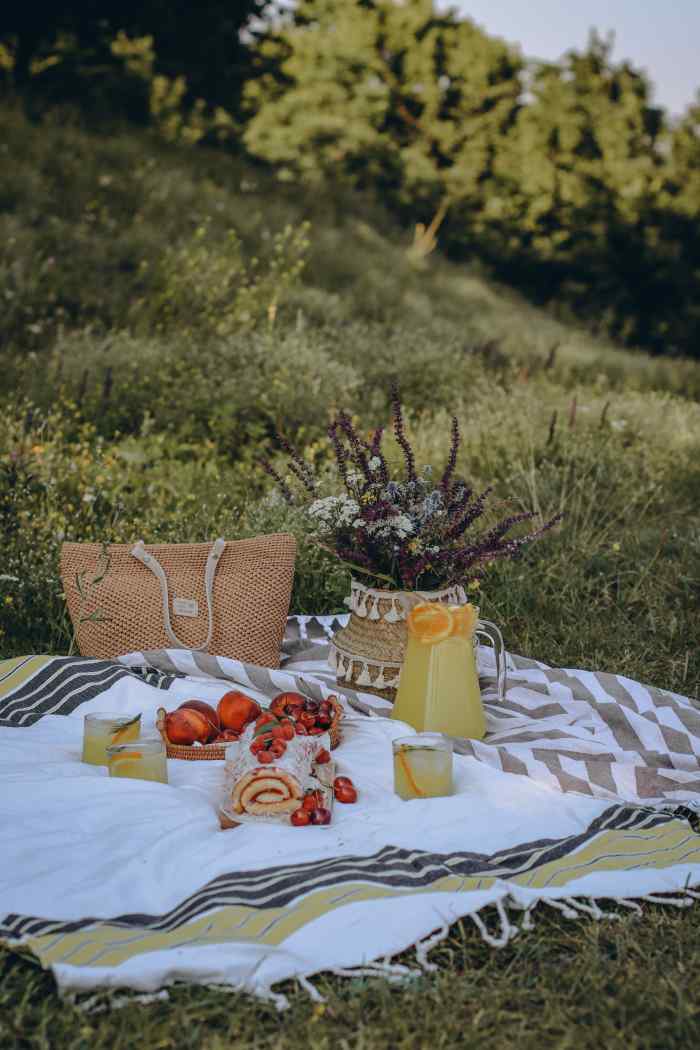 25 Romantic Picnic Date Ideas You Both Won't PairedLife