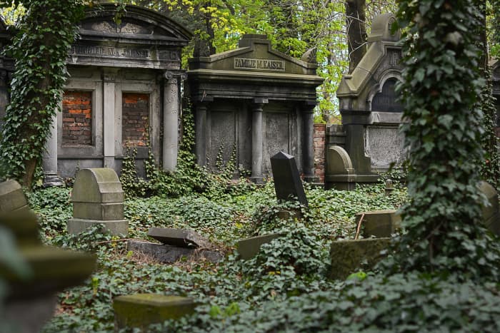 Picking a leaf of ivy in a churchyard is thought to be an invitation for death.