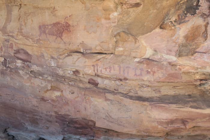 Rock art in Spain depicting fungus. This suggests a prehistoric knowledge of hallucinogenic mushroom species.