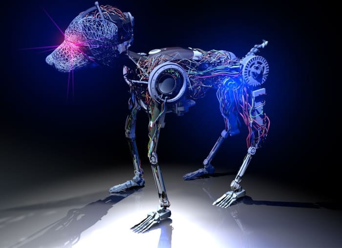Get a robotic pet! It’s not quite like having a real dog or cat but there are some advantages.