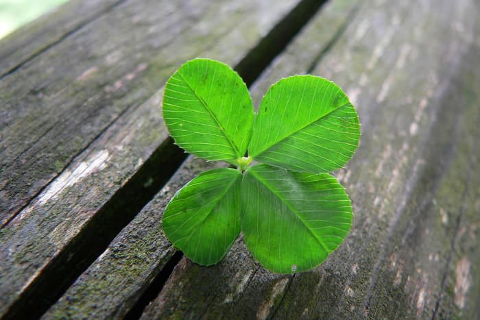 attracting-good-luck-and-good-fortune