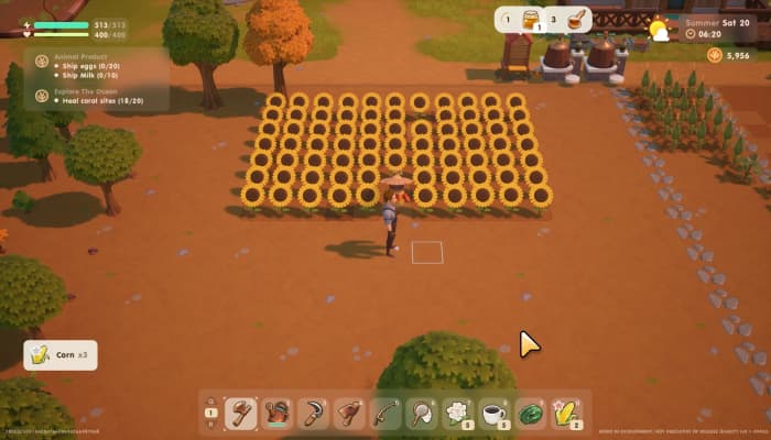 I liked the sunflower that grew from a mixed seed so much I grew a field of them because I thought it would look beautiful. I believe I was correct :)