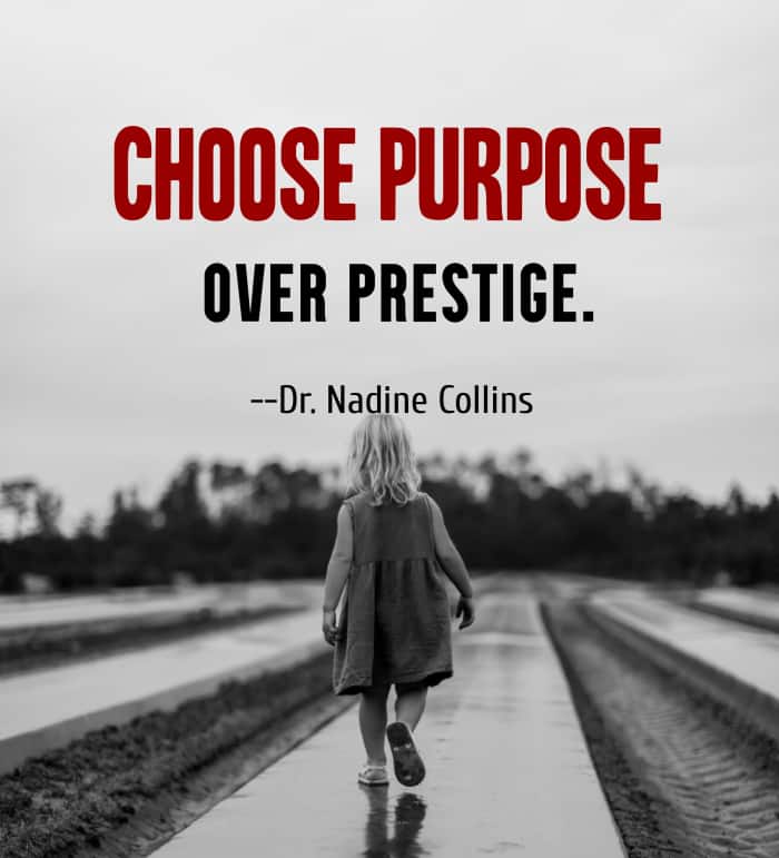 20 Purpose Quotes From "The Pursuit of Purpose" by Nadine Collins Holidappy