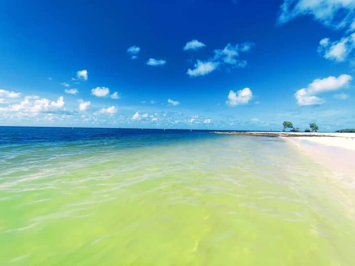 Don't run the risk of a car accident by practicing distracted driving while gazing at the water!