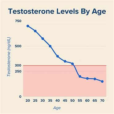 Improving Testosterone In Men - Hubpages