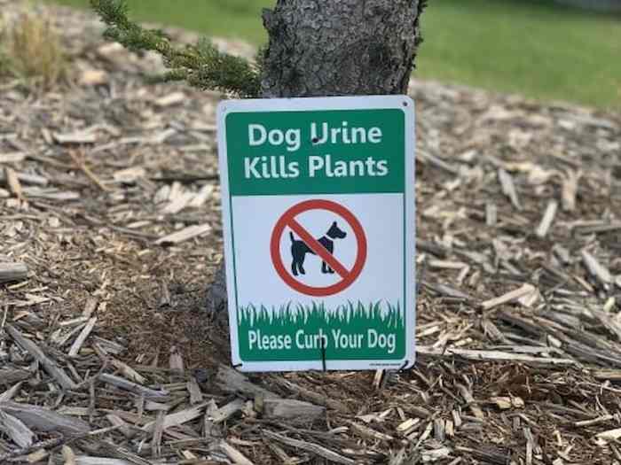 What Does "Curb Your Dog" Mean? Etiquette and Training Tips HubPages