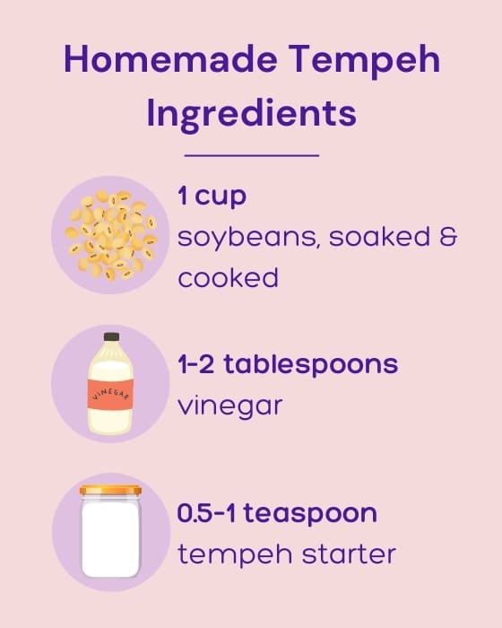 How to Make Your Own Tempeh Starter Delishably