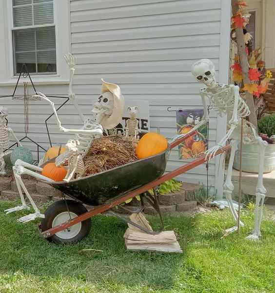 20+ Spooktastic Skeleton Halloween Decoration Ideas For Front Yard 