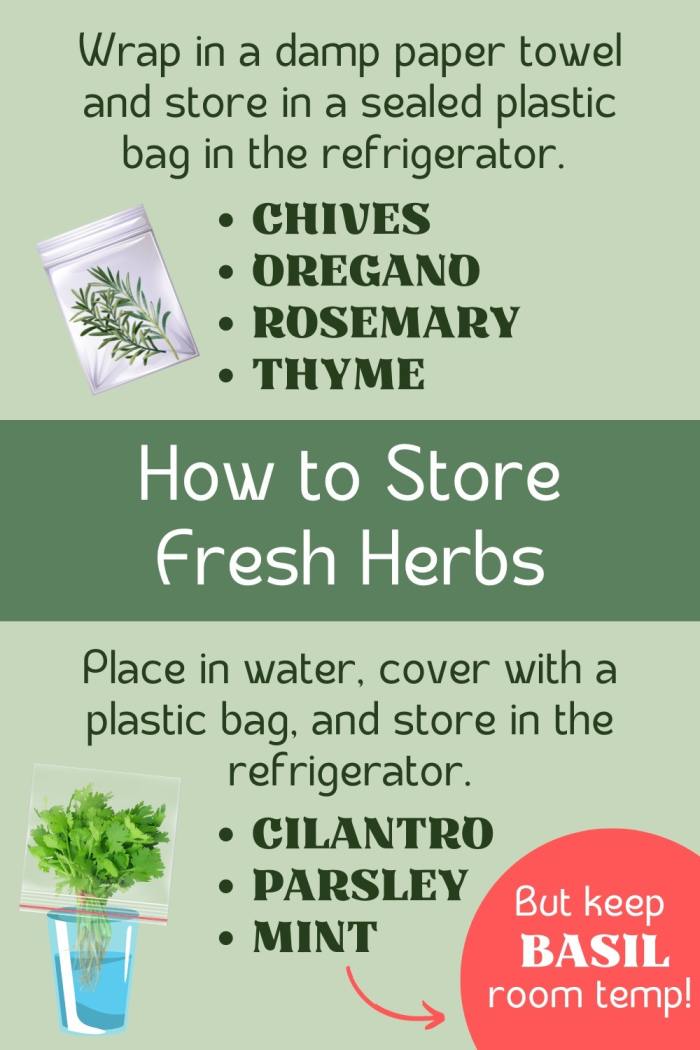 How to Harvest and Store Fresh Culinary Herbs - Delishably