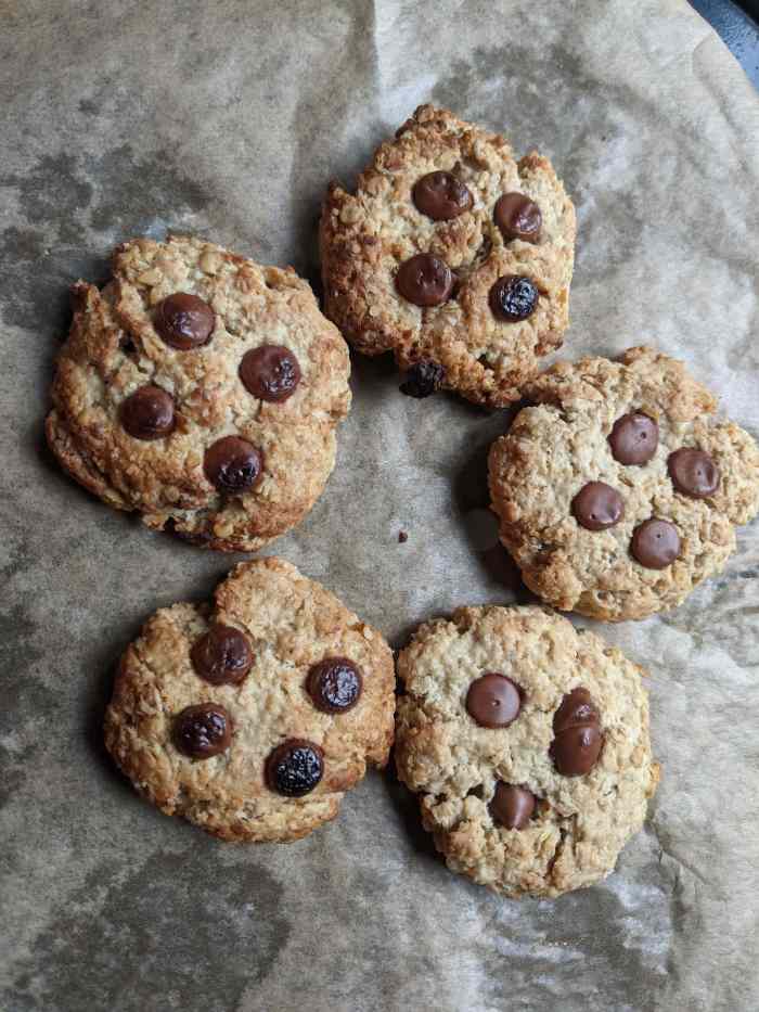 Quest Halogen Oven Air Fryer Review Based on Daily Use for 1 Year