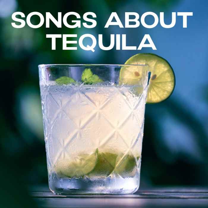75 Songs About Tequila Spinditty