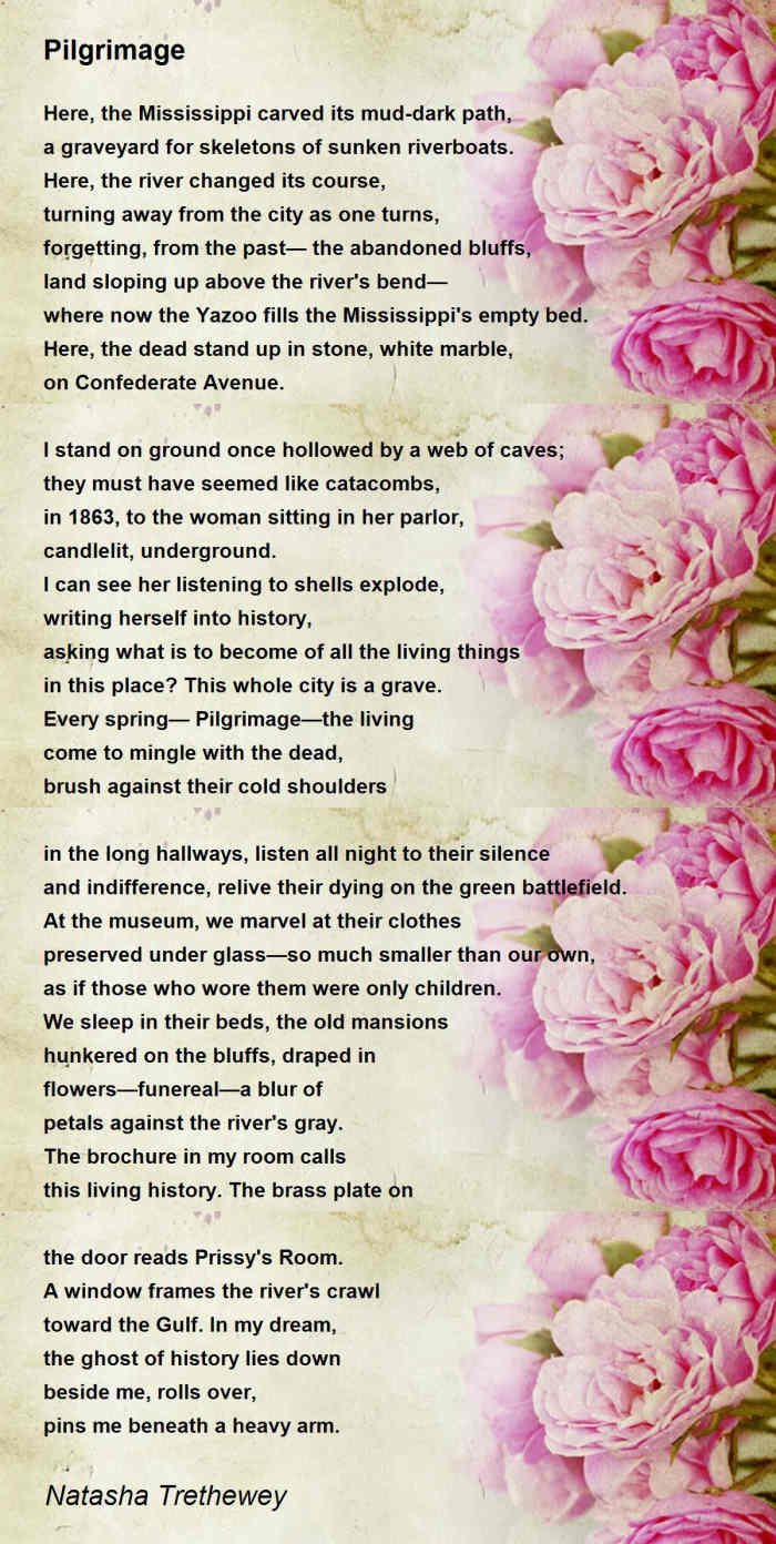 A Brief Breakdown of Natasha Trethewey's "Pilgrimage" HubPages