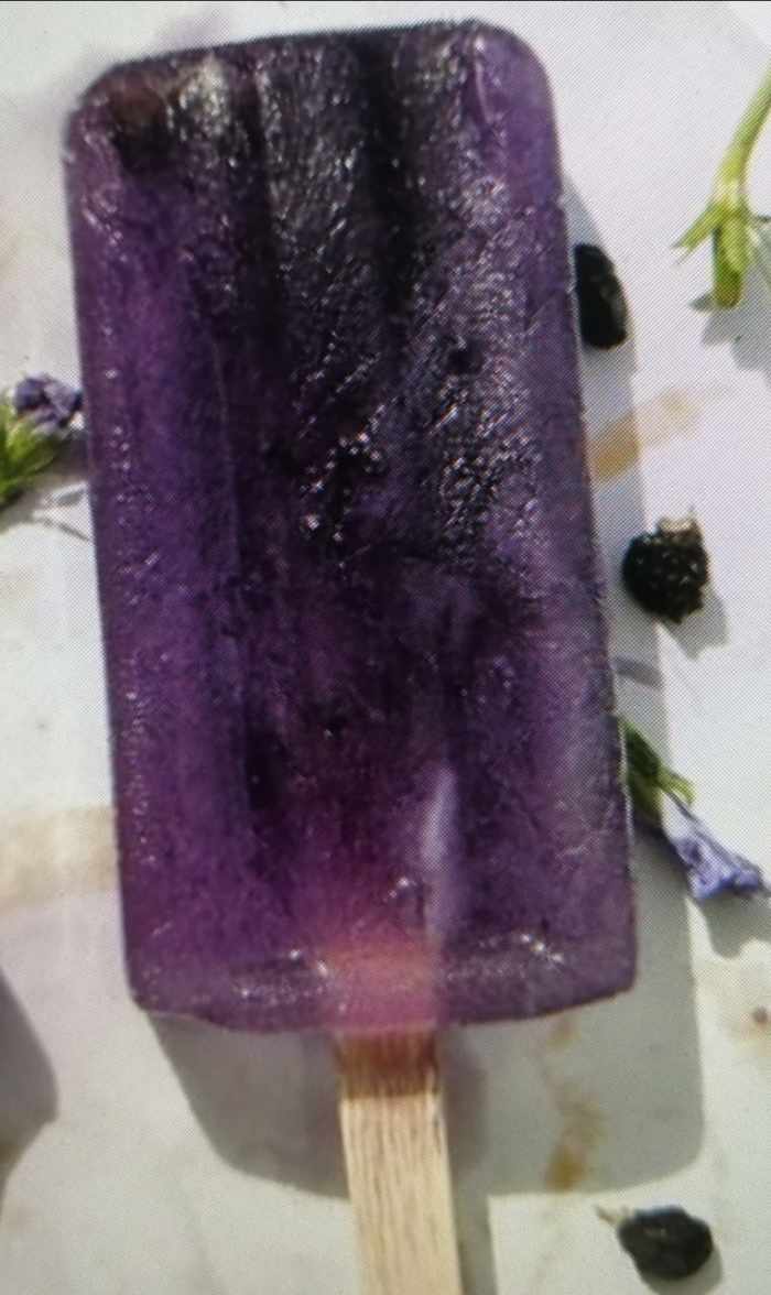 Health Benefits of Black Wolfberries HubPages