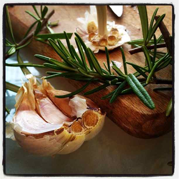 The Healing Properties of Rosemary HubPages
