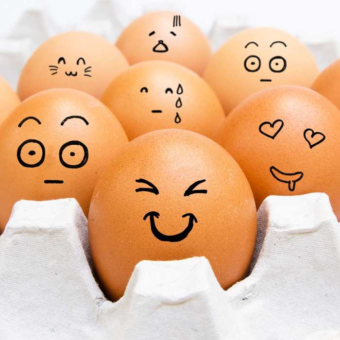 The Evolution of Eggs The Important Role of Eggs in Cooking HubPages