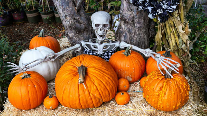 50+ DIY Dollar Store Halloween Decorations to Creep Your Guests Out ...