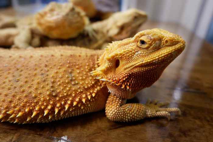 You Don't Need to Be a Conspiracy Theorist to See That Our “Leaders ...