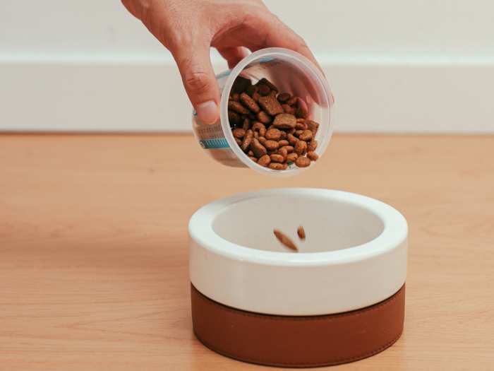 Managing Dog Food Portions Tips for a Healthy Weight PetHelpful