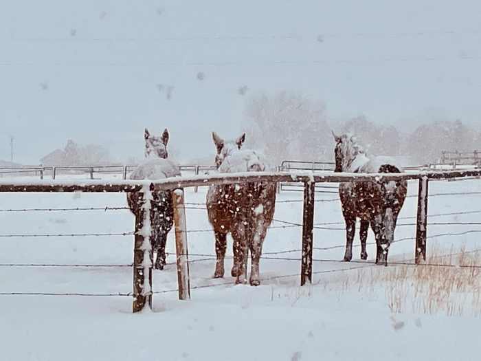 First Snow of the Season in Cody Wyoming HubPages