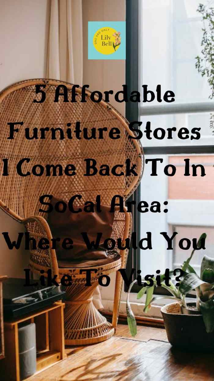 5 Affordable Furniture Stores I Come Back to in Socal Area Where Would