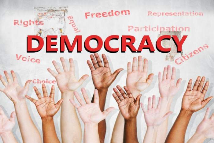 trying-to-make-democracy-work-01