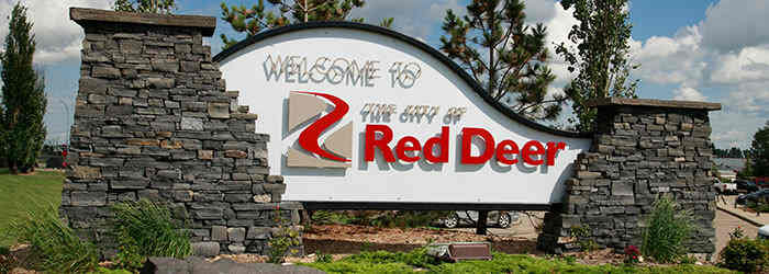 from-a-squandered-life-red-deer-67