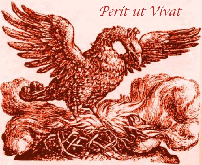 phoenix-bird