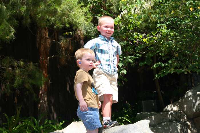 There are many areas young children may enjoy in the California Adventure park. The Redwood Creek Challenge Trail is a toddler favorite!